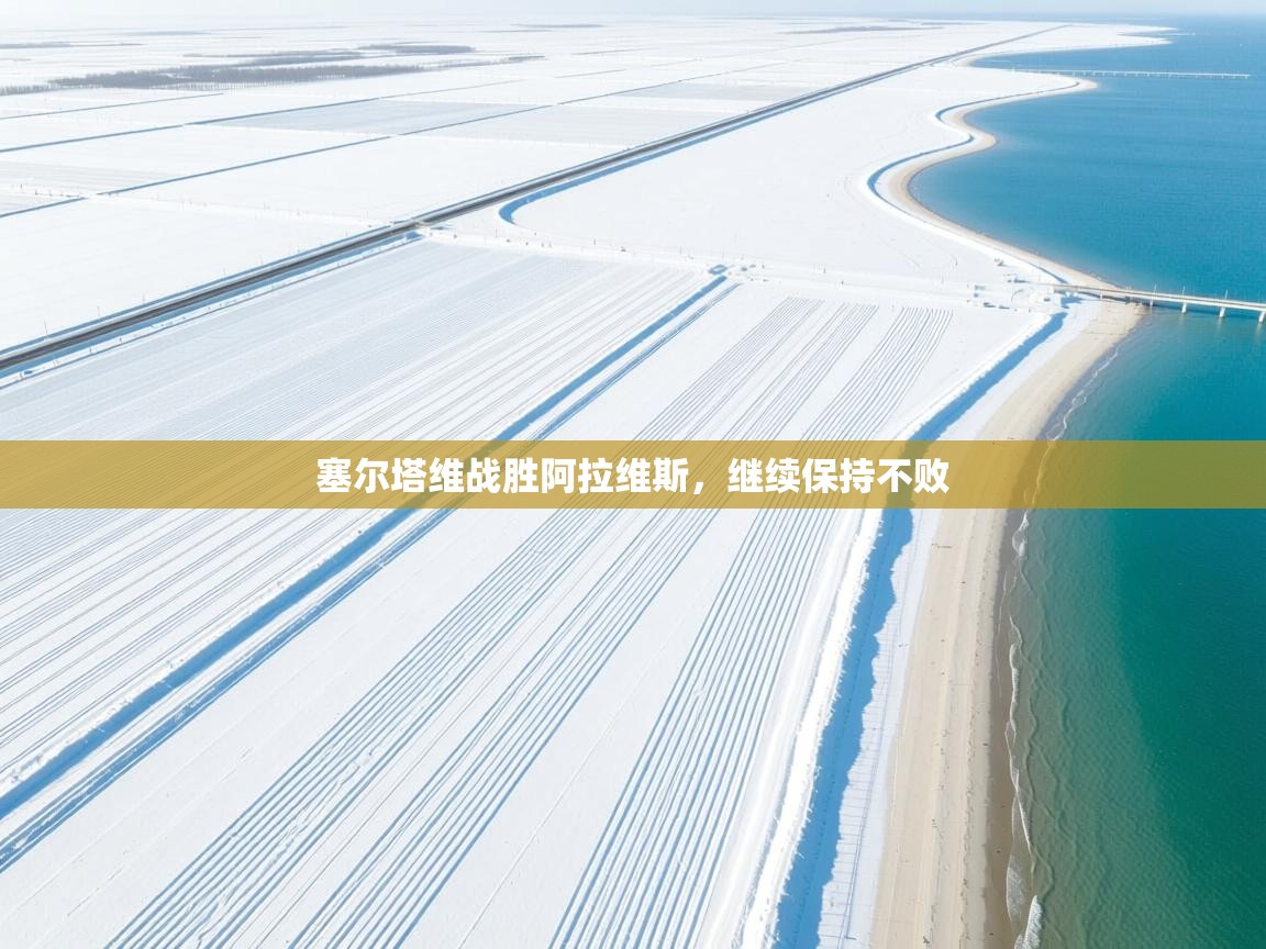 塞尔塔维战胜阿拉维斯,继续保持不败 塞尔塔维战胜阿拉维斯,继续保持不败