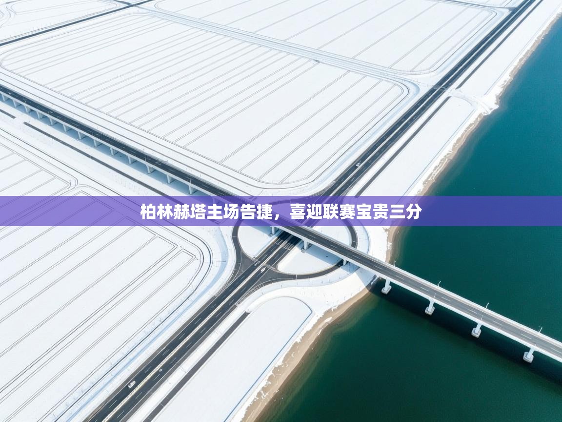 柏林赫塔主场告捷，喜迎联赛宝贵三分