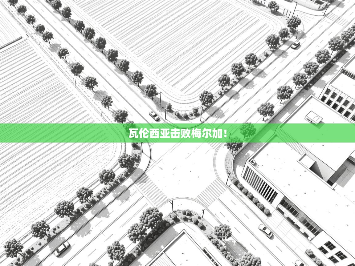 瓦伦西亚击败梅尔加！