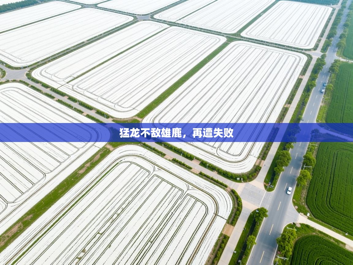 猛龙不敌雄鹿，再遭失败
